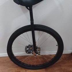 Unicycle 