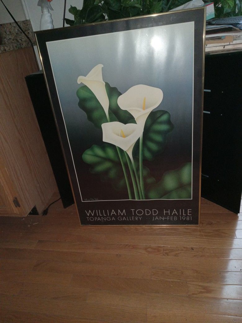 36.5 X 24.5 WILLIAM TODD HAILE Jan-Feb 1981 Calilillies Glass Framed Picture