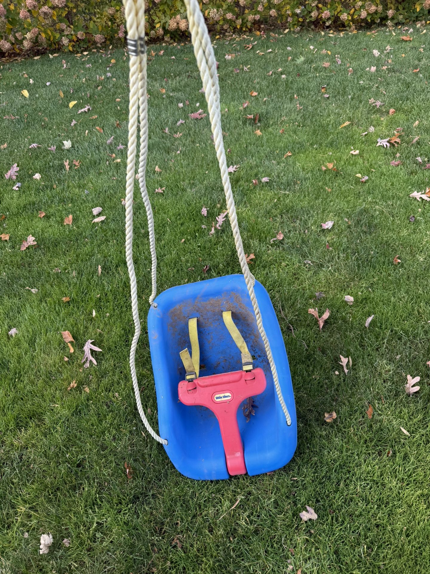 Baby Swing