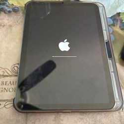 iPad Mini 6th in Perfect Condition 