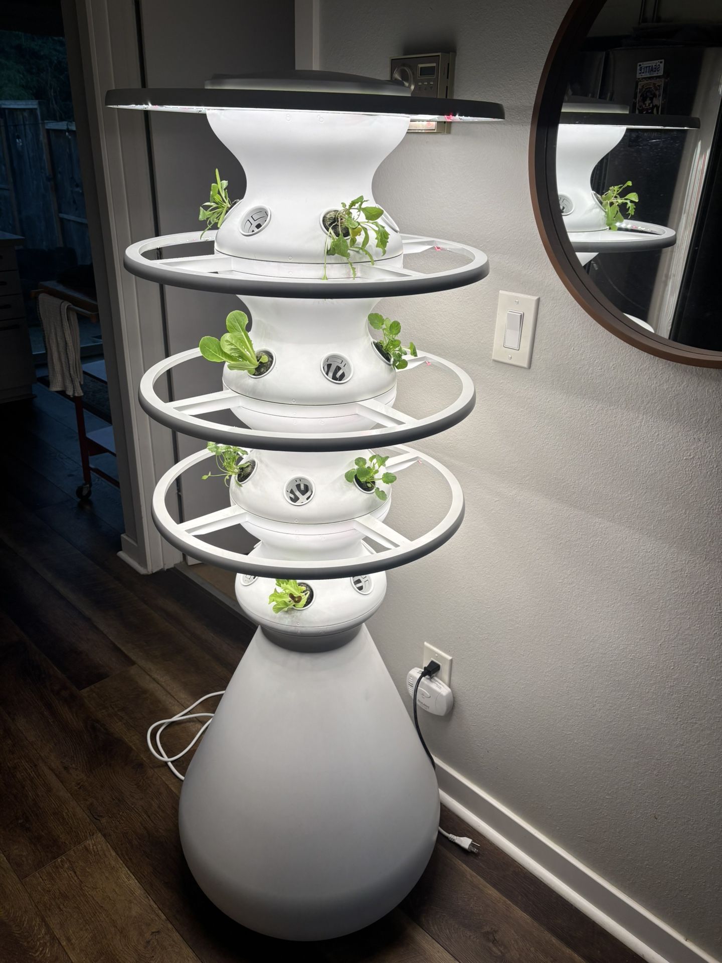 Lettuce Grow