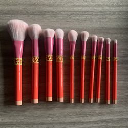 NWOB Never Used Sonia Kashuk Limited Edition Color Shock 10 Piece Brush Set