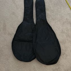 2 Guitar Bags