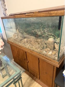 Oceanic 55 gallon Fish Tank + Wooden Stand