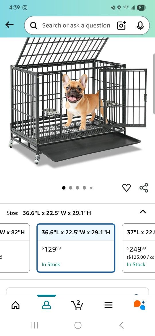 Dog Kennel
