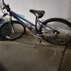 Adult Girls Bike