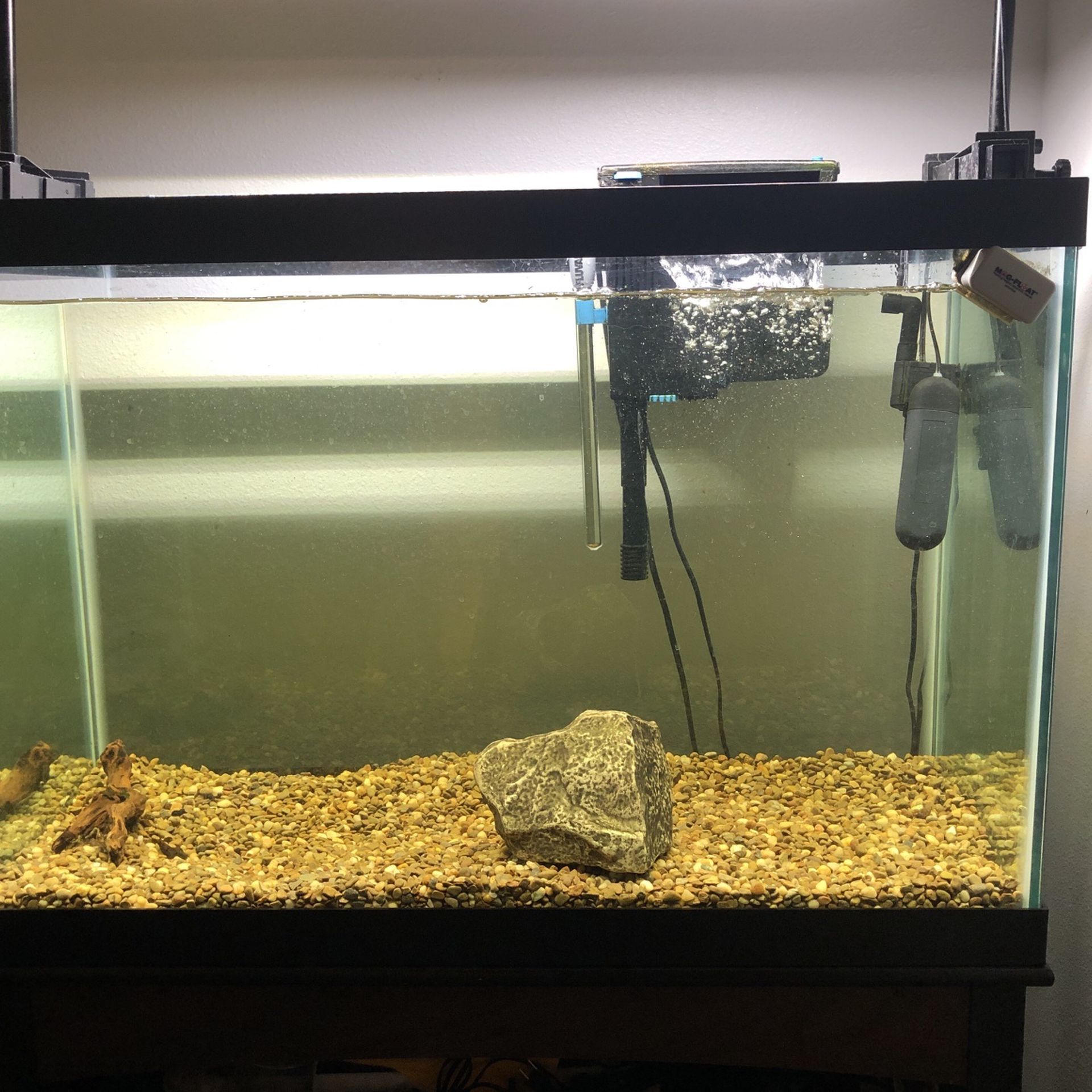 75 Gallon Aquarium