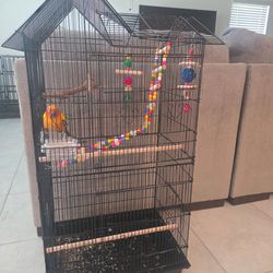 BIRD CAGE