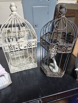 Bird Decor