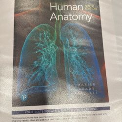 Human Anatomy