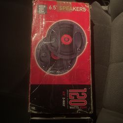 Dual Speakers