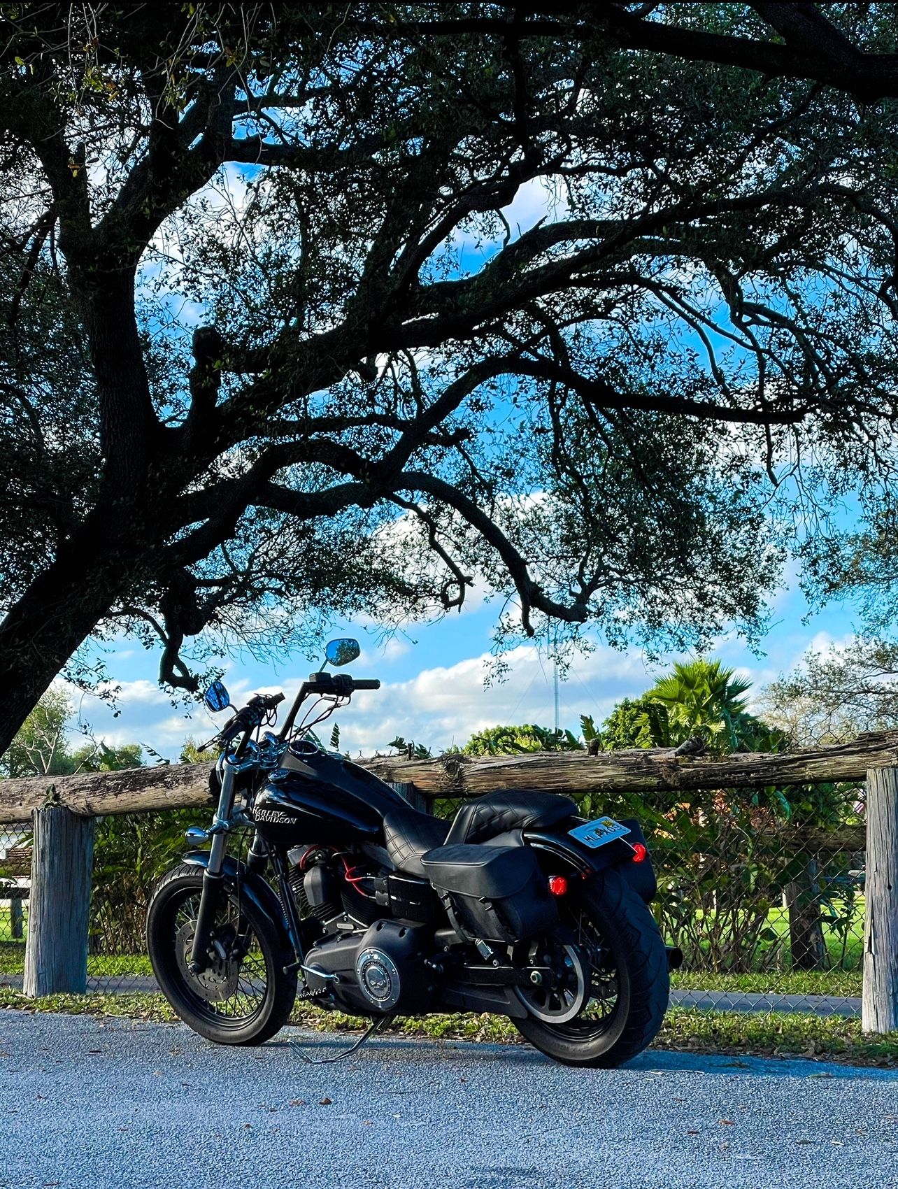 2012 Harley-Davidson Dyna Streetbob fxdb