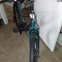 Bicycle And A 80cc Gas Engine 