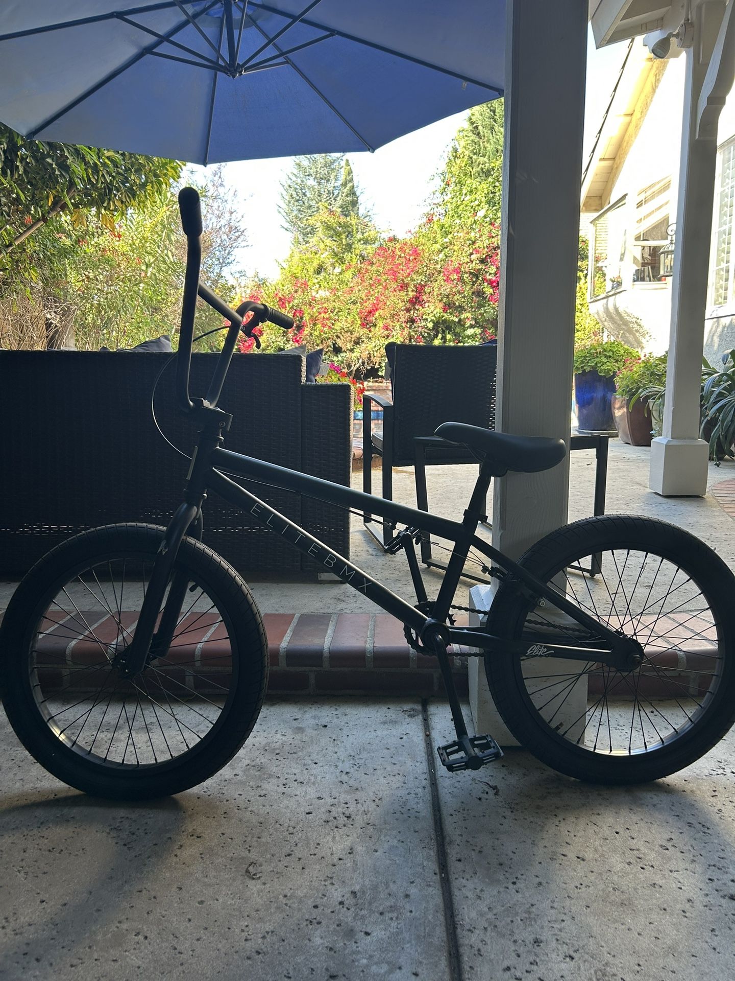 Elite BMX Bike 