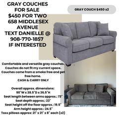 Gray Couches 
