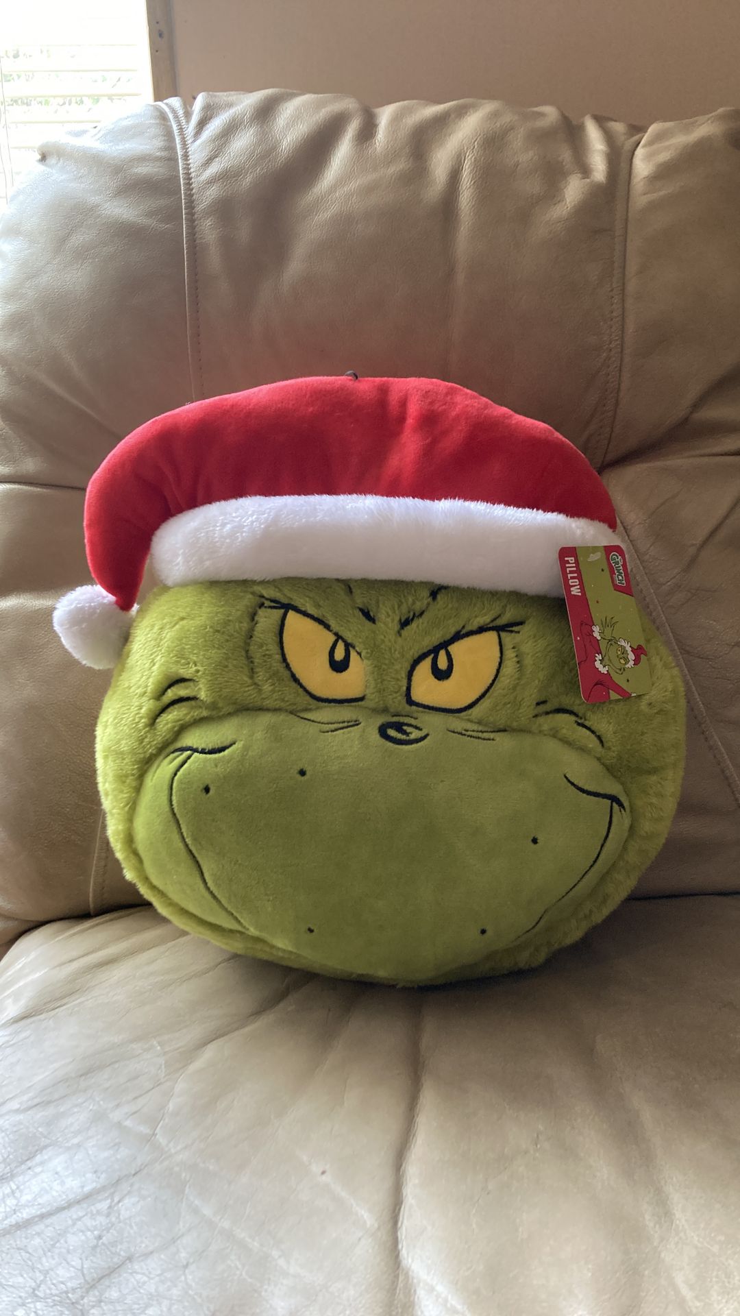 Grinch Pillow