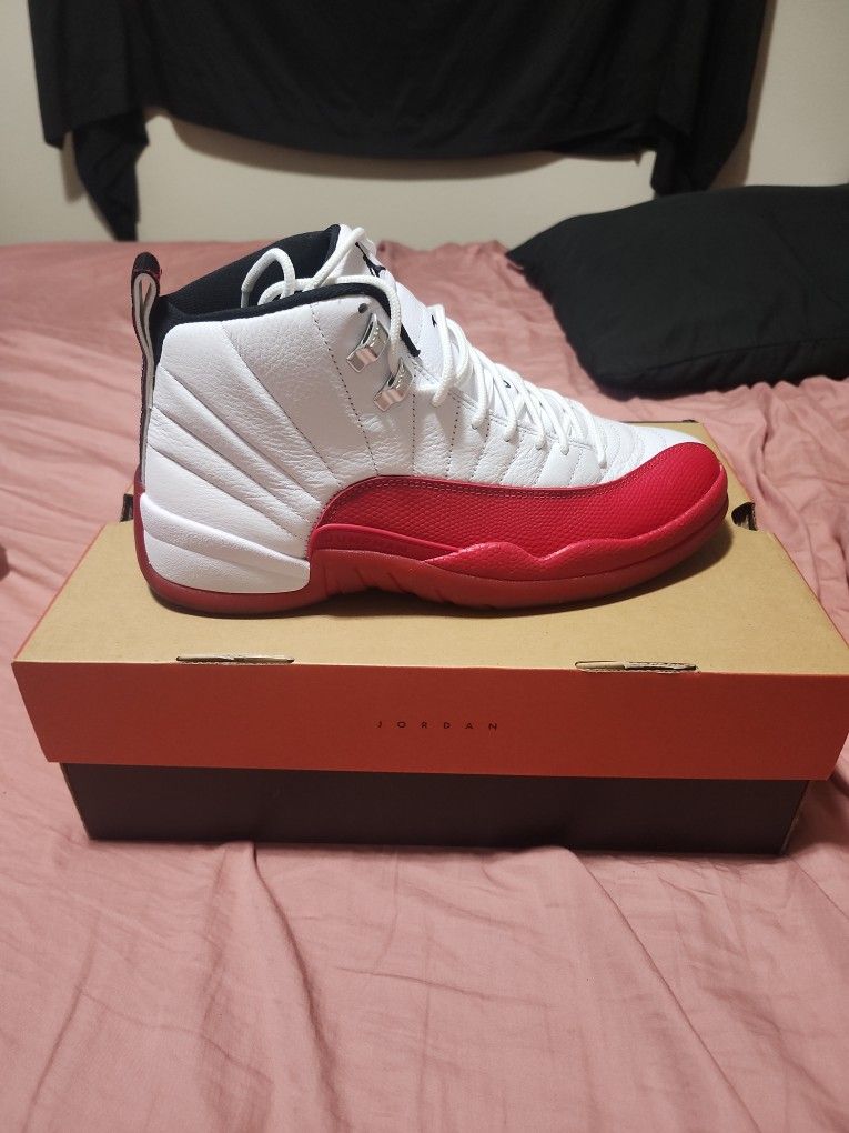 Air Jordan 12 Retro 9.5