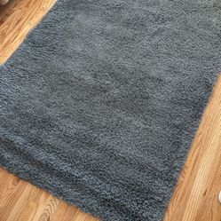 Gray Carpet