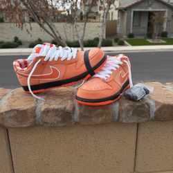 Orange Lobster Dunks
