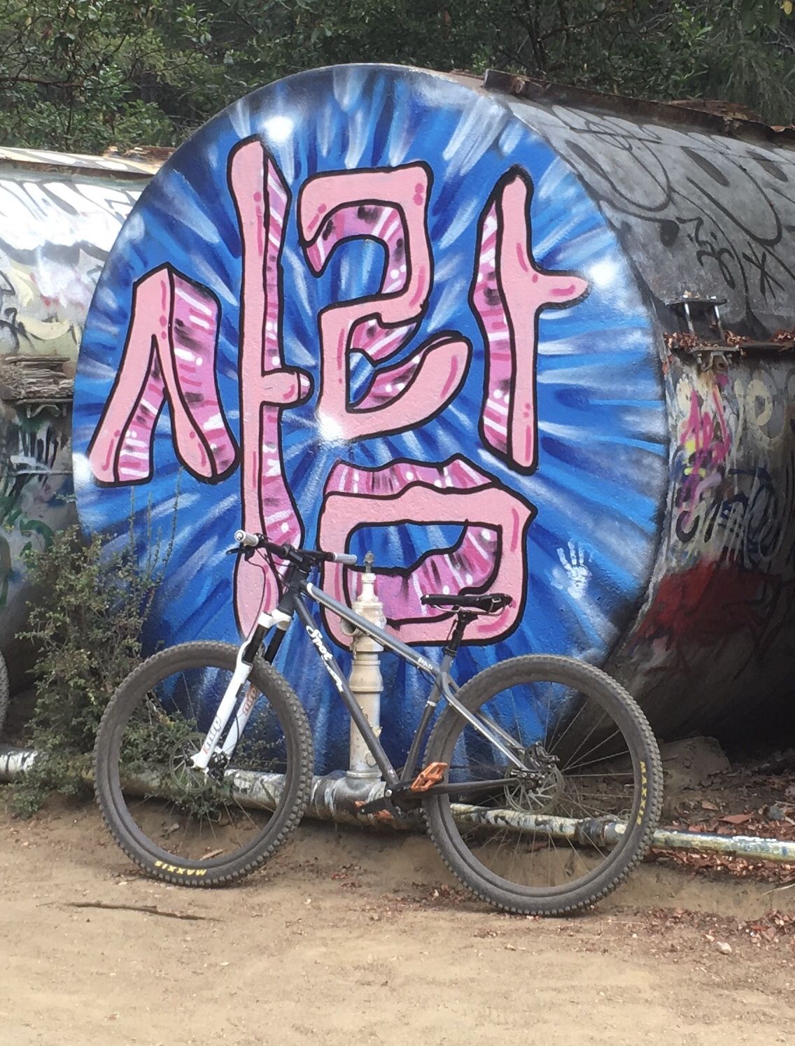Spot Brand Honey Badger Mountain Bike