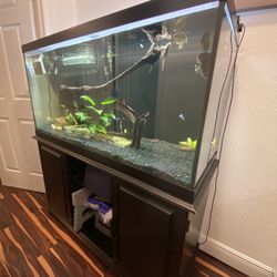 Fish Tank Aquarium ~90G No Fish Or Decorations
