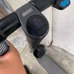 Ninebot Electric Scooter