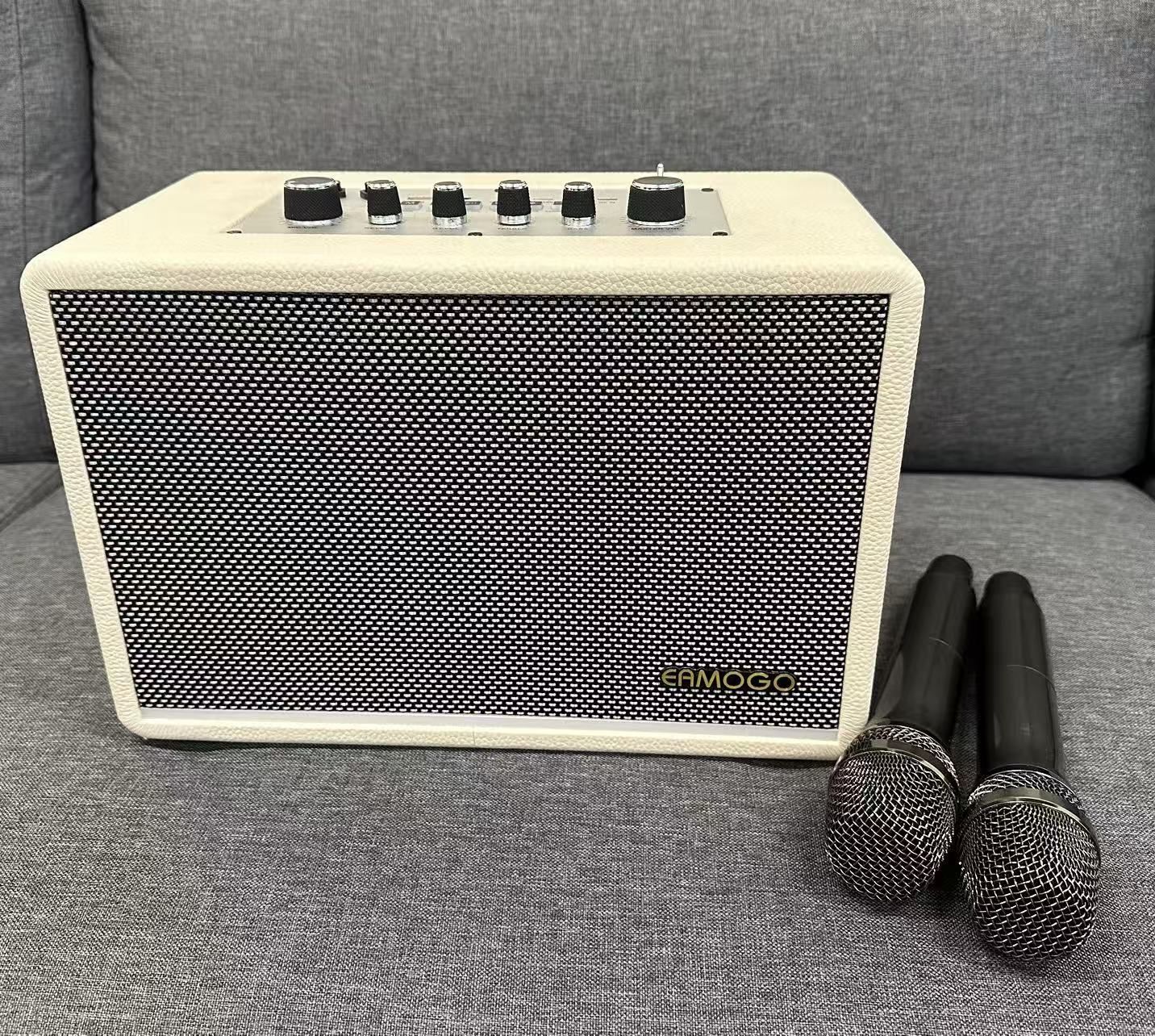 karaoke machine with 2 microphones