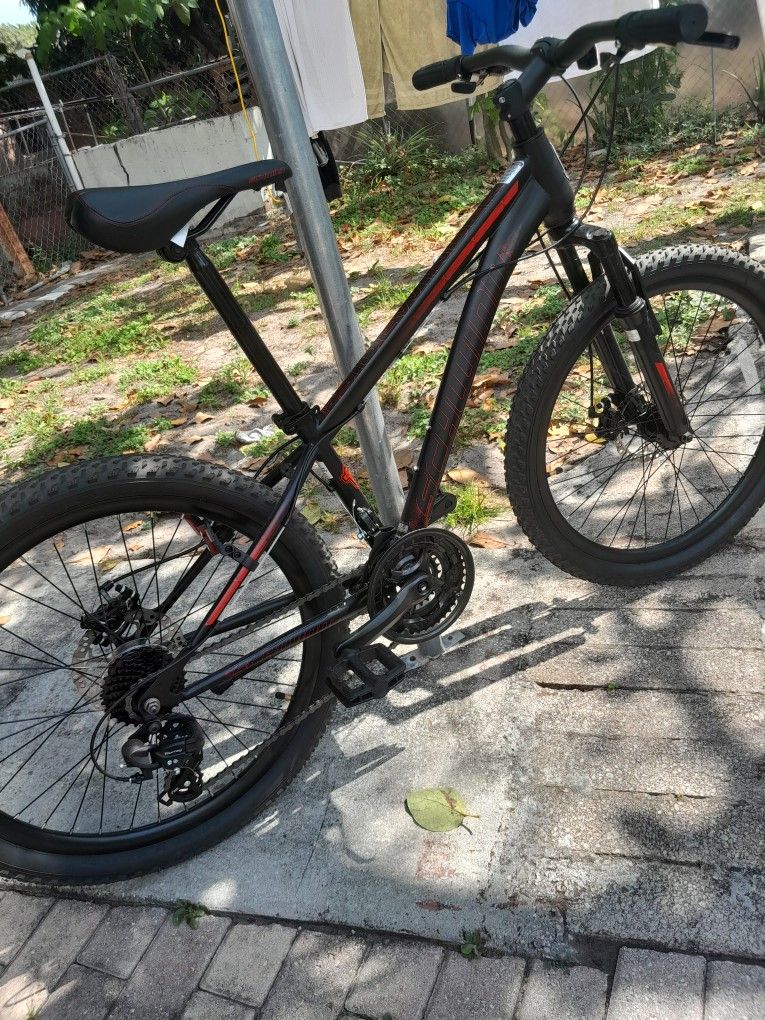 Mountain Bike