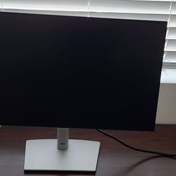 Dell 24" Monitor