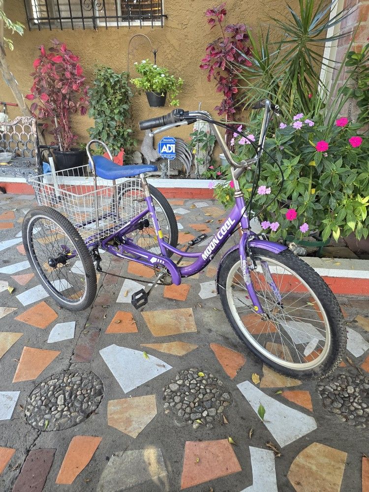 7-Speed Tricycle