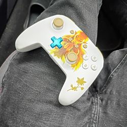 Controller For A Nintendo Switch