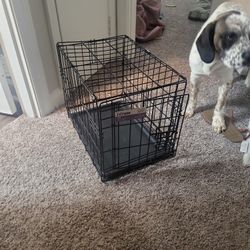Small Dog Cage 