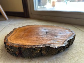 Live Edge Black Walnut Wood Round
