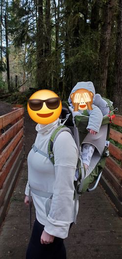 Osprey Poco Child Carrier