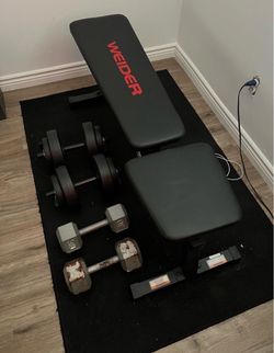 Work out bench/dumbbells