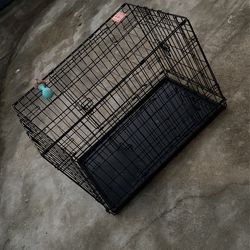 Dog Cage