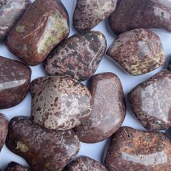 LEOPARD JASPER PALM STONE 
