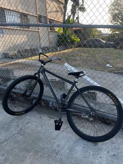 Throne 29er