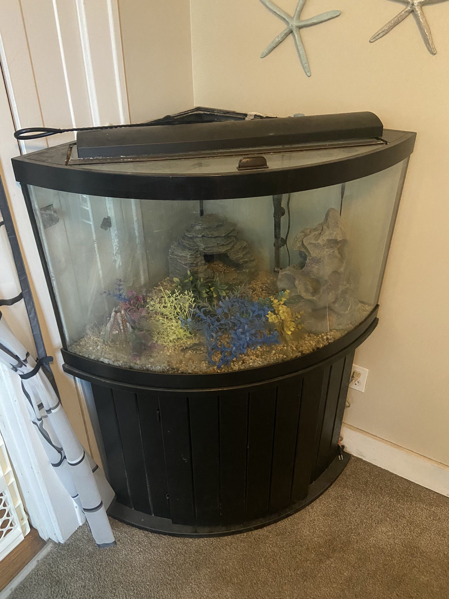 54 Gallon Fish Tank