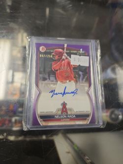 Bowman Nelson rada auto 47/250
