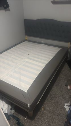 Bed frame / head board
