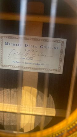 Professional. Classical Guitar. Michele Della Guistina