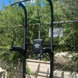 City Birds Pull Up Station 