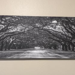 Canvas Photo