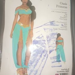Oasis Arabian Princess Women's Halloween Costume