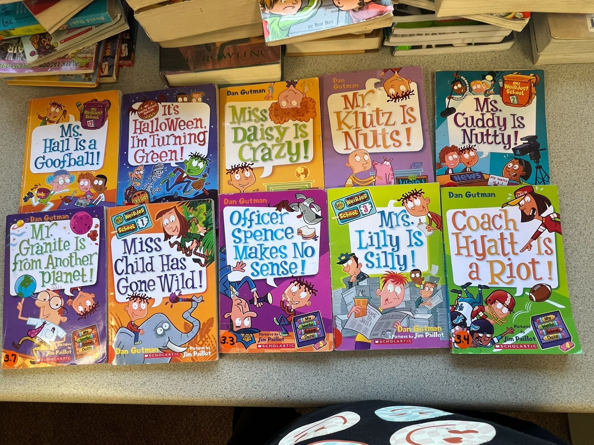 My Weird School Book