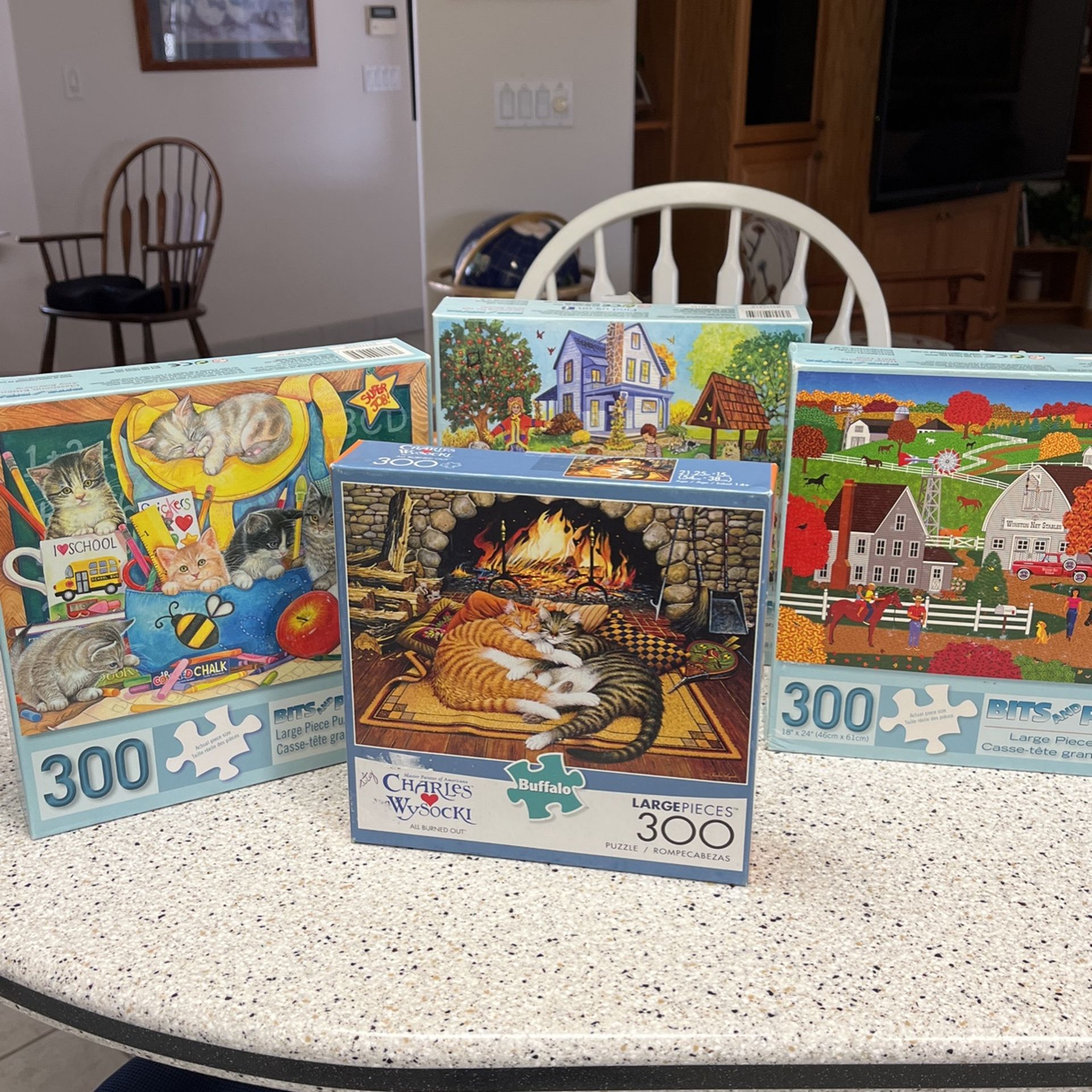 Used 300 Piece Puzzles