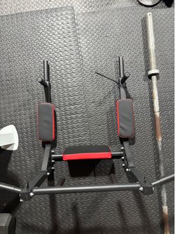 Mounted pull up dip station