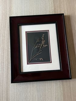 Framed Pressed Botanical Art