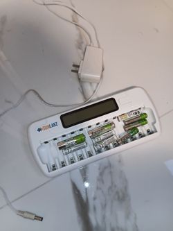 Battery charger with batteries